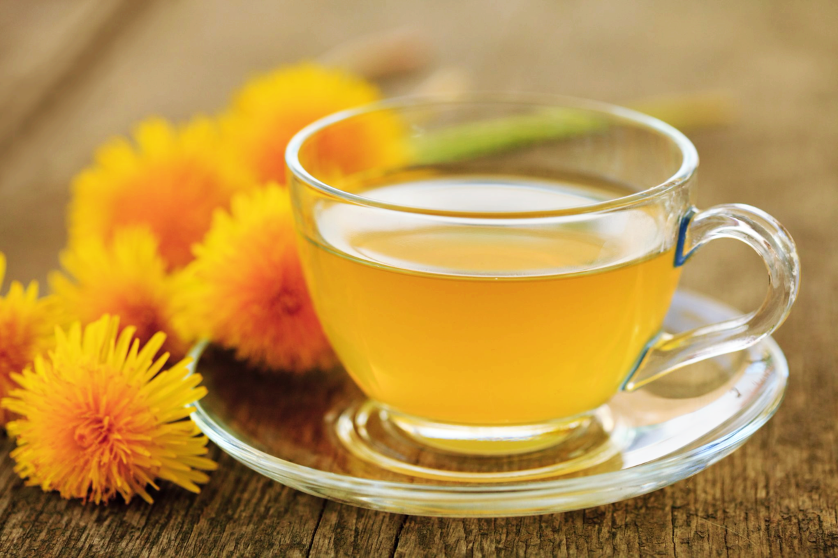 10 natural health benefits of Dandelion Tea Natural Organic Living